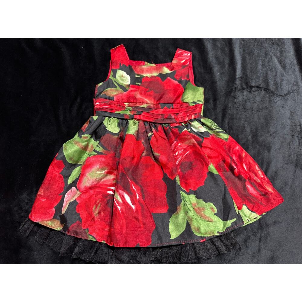 Sweet Heart Rose Baby Dress 2 2T